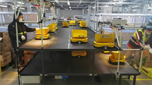 備戰618 機器人先上陣，鏢普、小黃人、RaaS技術助力高效柔性自動化分揀